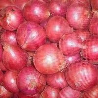 onions