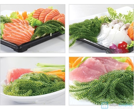 Seaweed Caulerpa Lentillifera Green Caviar