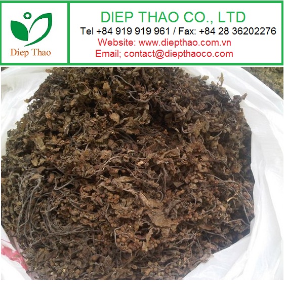 Seaweed Fertilizer Sargassum