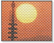 Insect Screen (Wire Netting)