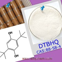 2,5-Di-Tert-Butylhydroquinone
