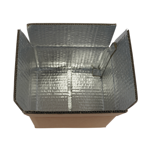 Insulated Box Pouches Cold Chain Solutions