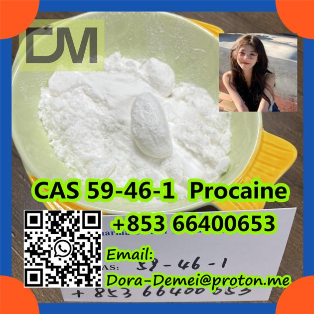 Procaine CAS 59 46 1