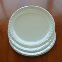 100% Degradable Disposable Plate