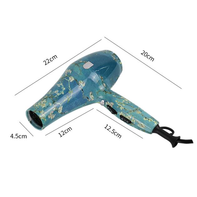 Colorful Home Use AC Hair Dryer