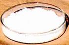 6-aminonicotinic acid
