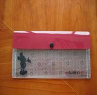 100% Degradable File Folder(small)