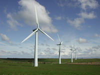 Wind Turbine Power Generator DW8.0-10KW