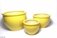 flower pot
