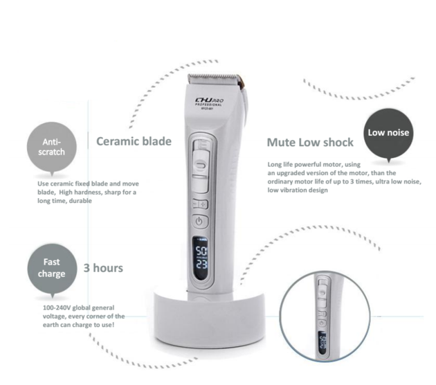 Professional Salon Tools Electric Hairdresser Hair