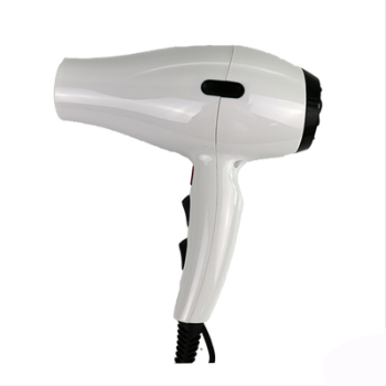 AC motor 110v-220v hotel travel household professional hair dryer