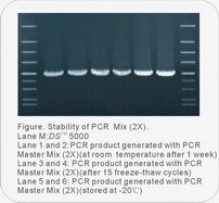 Taq PCR Mix