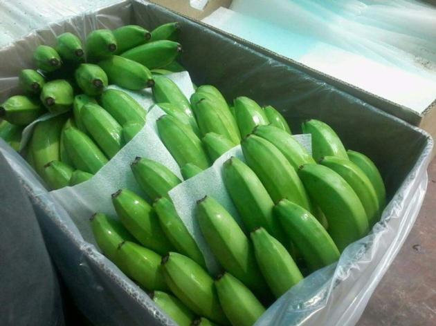 Fresh Green Banana