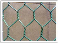 hexagonal  wire mesh