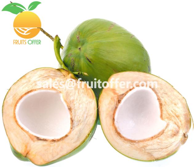 Coconut