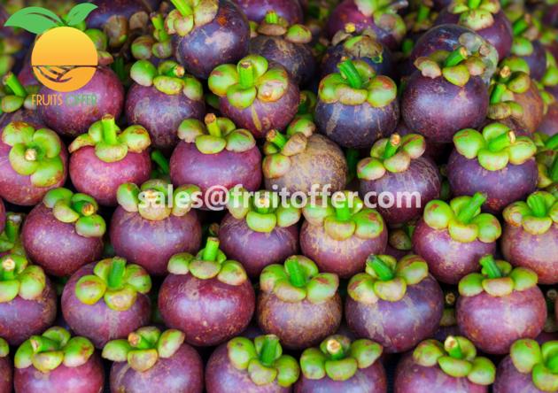 Mangosteen