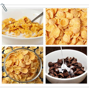 Corn Flakes Processing Line