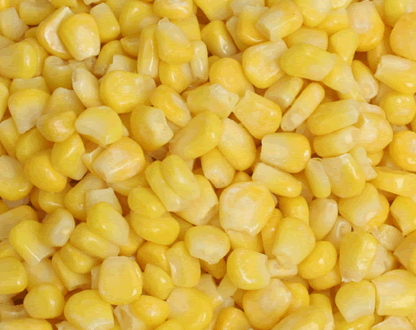 IQF Sweet kernel corn