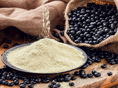 Soybean Powder for Cheese