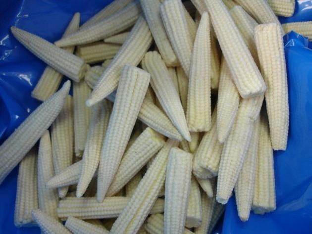 IQF Corn Whole