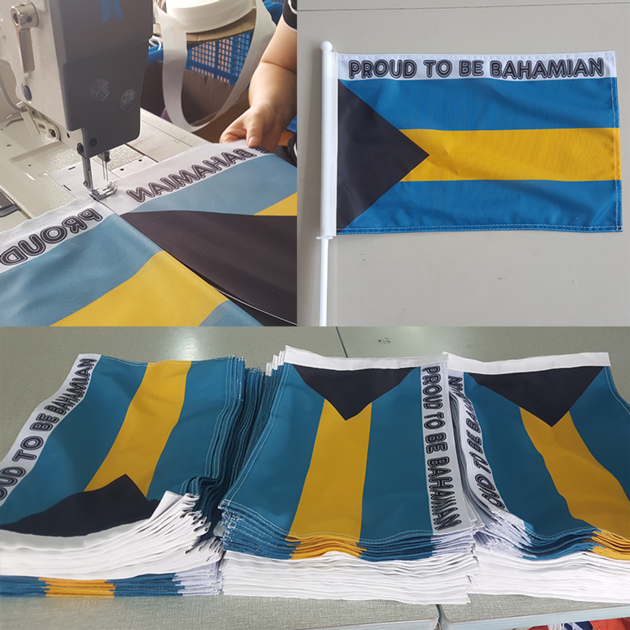 Outdoor Double Print Flag Car Pole