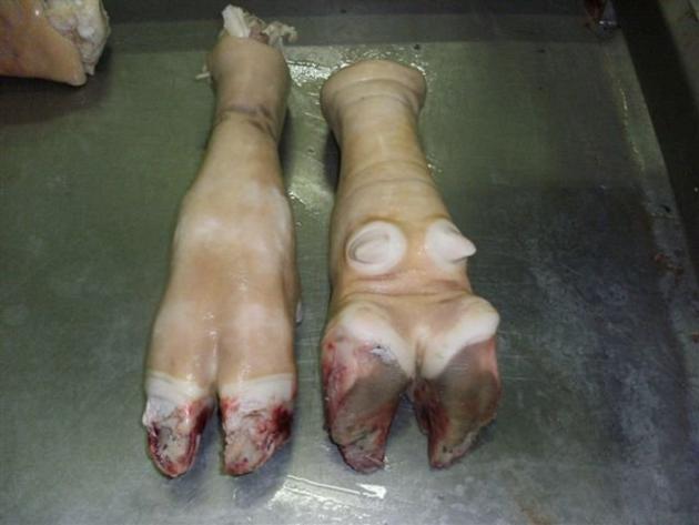 Frozen grade A halal cow feet, cow leg, cow heads