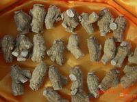 Ginseng Extract