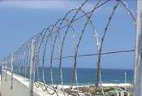 barbed wire