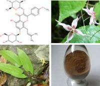 Epimedium Extract