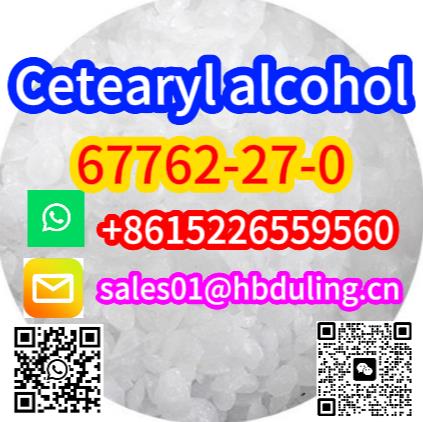 China Direct Sales Polycaprolactone CAS 24980