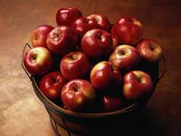 Apple Extract
