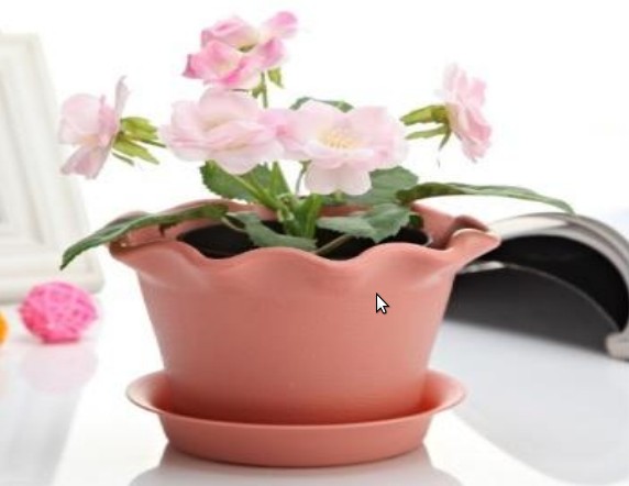 Plastic Planters