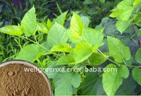 Chinese cinnamon P.E.