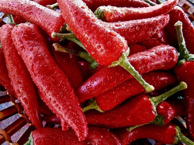 Fresh Chillies