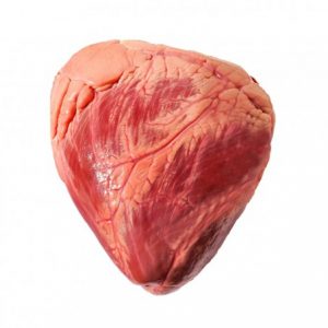 Frozen Grade A Halal Beef Chuck