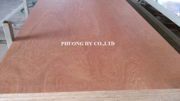 Container Flooring Plywood
