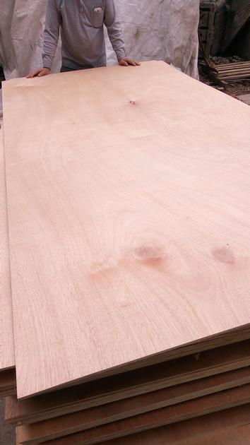 Packing Plywood Grade BC Glue MR