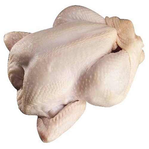 Frozen halal whole chicken