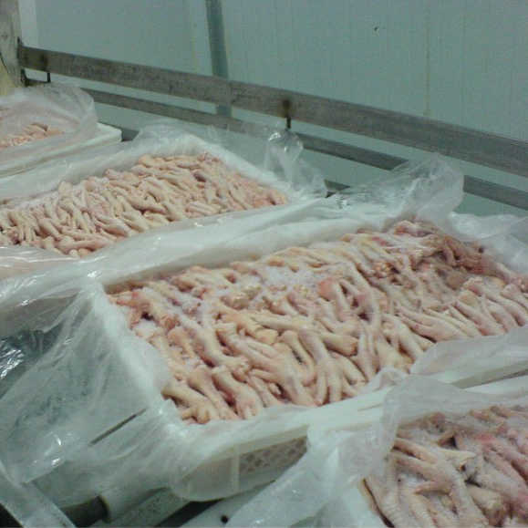 Frozen grade A chicken feet