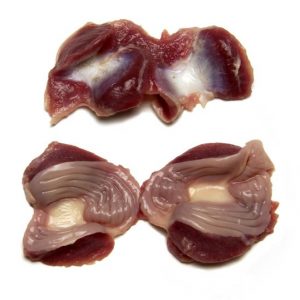 Halal frozen grade A chicken gizzards and Chicken hearts