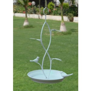 Bird Bath