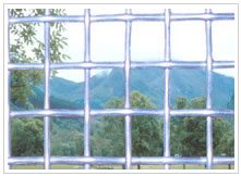 galvanized square net