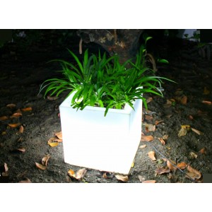 LED Planters