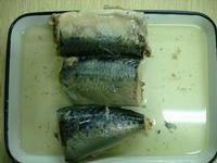 mackerel in brine