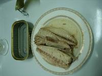 mackerel in oil