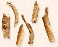 Siberian Ginseng P.E.