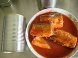 sardine in tomato sauce