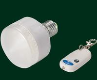 Rechargeable remote emergency light