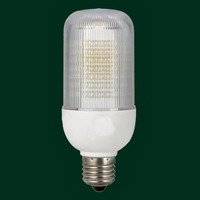 LED Light Bulb