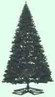 christmas tree17'3800